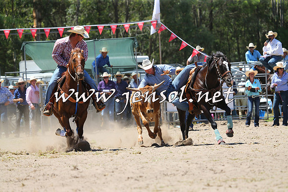 PictonRodeo2015_0983