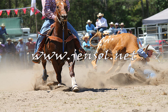 PictonRodeo2015_0987
