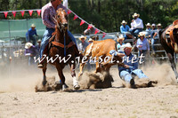 PictonRodeo2015_0988