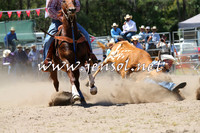PictonRodeo2015_0986