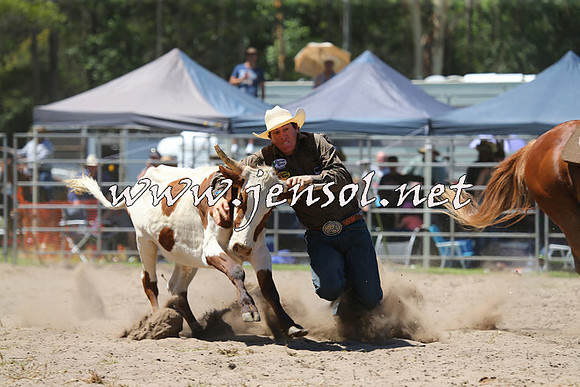 PictonRodeo2015_1057