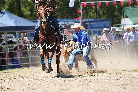 PictonRodeo2015_1015