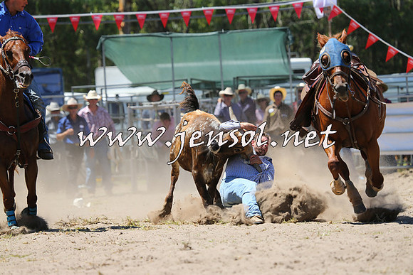 PictonRodeo2015_1046