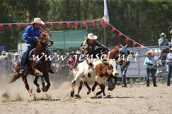 PictonRodeo2015_1065