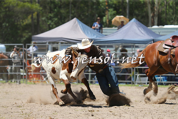 PictonRodeo2015_1058