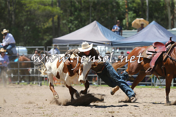 PictonRodeo2015_1063
