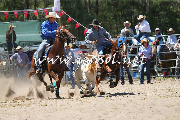 PictonRodeo2015_1035