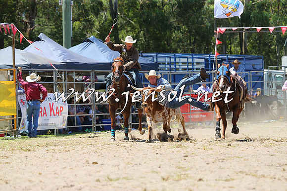 PictonRodeo2015_1008
