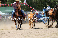 PictonRodeo2015_0993