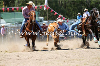 PictonRodeo2015_0994