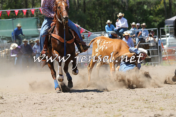 PictonRodeo2015_0985