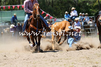 PictonRodeo2015_0984