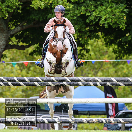 MiltonShow2018_2865