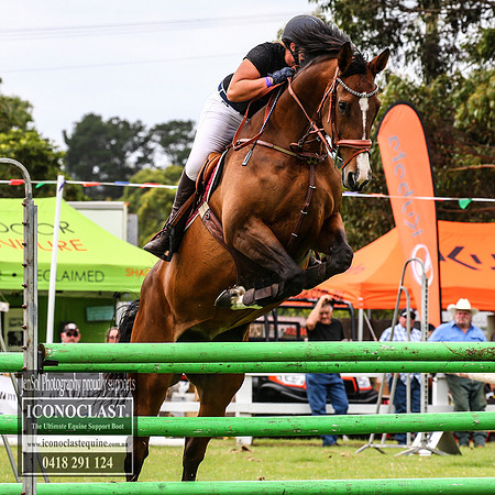 MiltonShow2018_2519