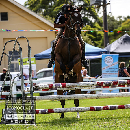MiltonShow2018_1580