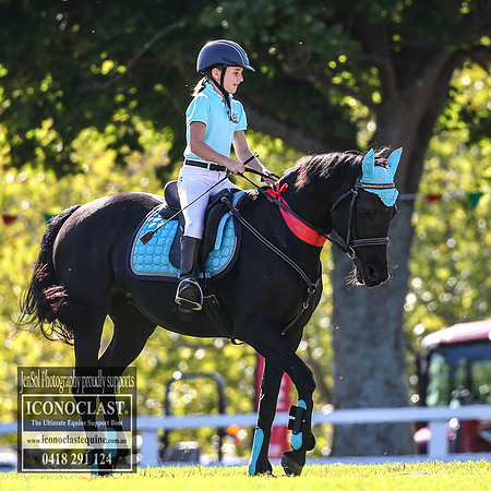 MiltonShowRodeo2018_0173