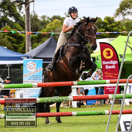MiltonShow2018_2297