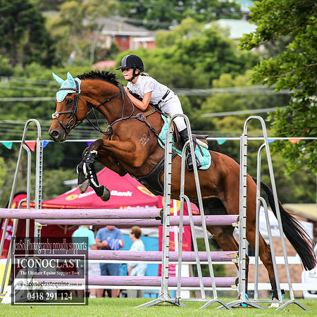 MiltonShow2018_3204