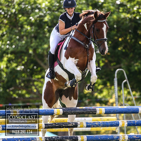 MiltonShow2018_0983
