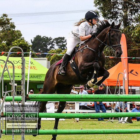 MiltonShow2018_2598