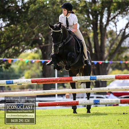 MiltonShow2018_1768