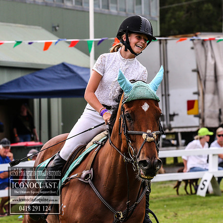 MiltonShow2018_3227