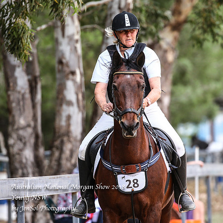 ANMS2018_2186