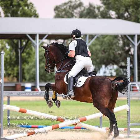 ANMS2018_2187