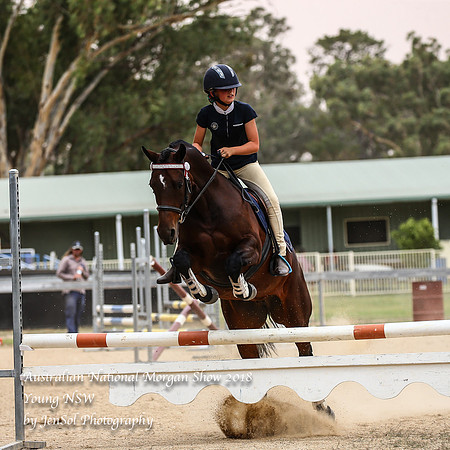ANMS2018_2283