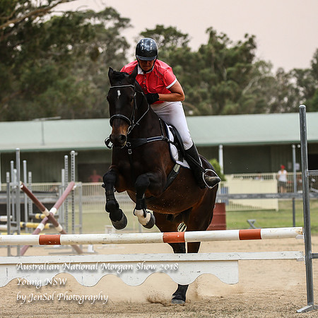 ANMS2018_2345