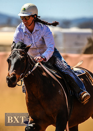 IllaboCampdraft1_1113
