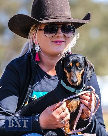IllaboCampdraft1_1666