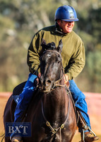 IllaboCampdraft1_0067