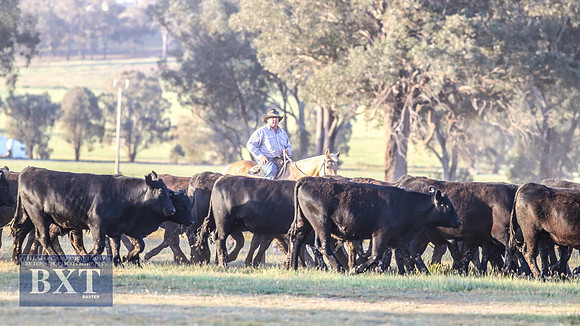 IllaboCampdraft1_3062