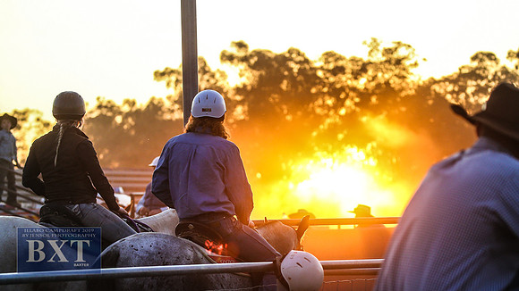IllaboCampdraft1_3033
