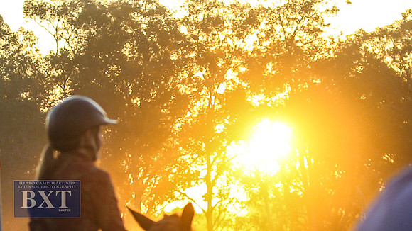IllaboCampdraft1_3018