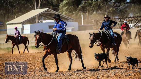IllaboCampdraft1_2147