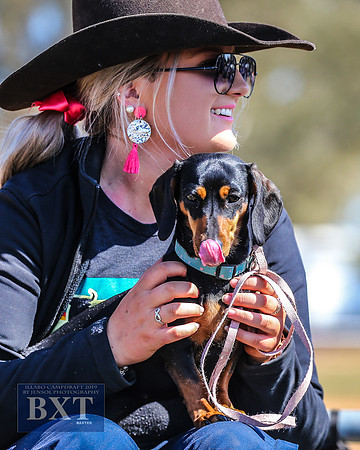 IllaboCampdraft1_1677