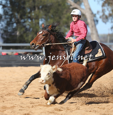 STBHTubbulCampdraft2015_0638