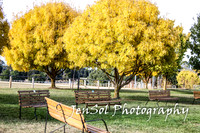 Crookwell2016_0025