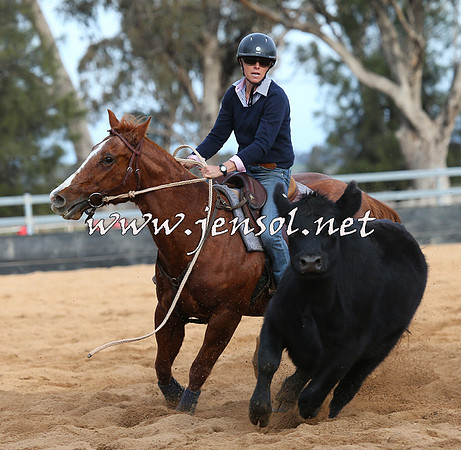 STBHTubbulCampdraft2015_0908