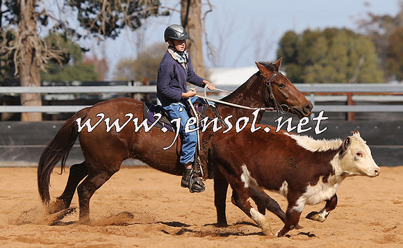 STBHTubbulCampdraft2015_0599