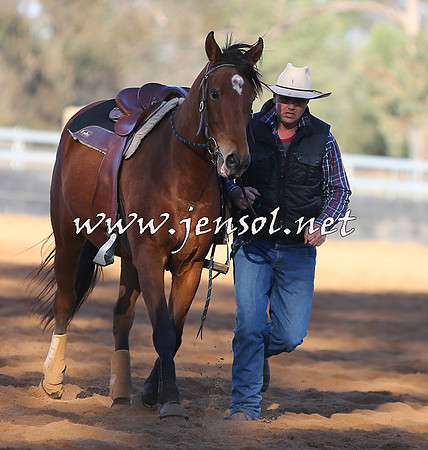 STBHTubbulCampdraft2015_0448