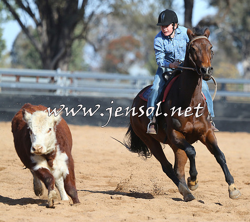 STBHTubbulCampdraft2015_0663