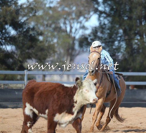 STBHTubbulCampdraft2015_0678