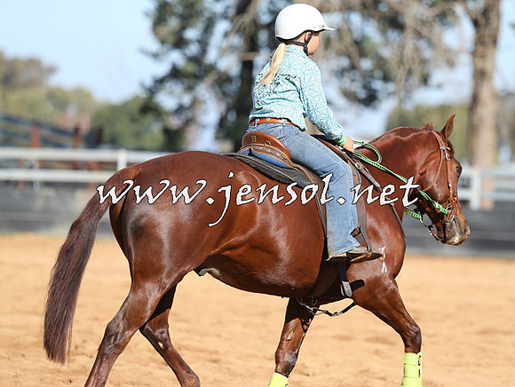 STBHTubbulCampdraft2015_0577