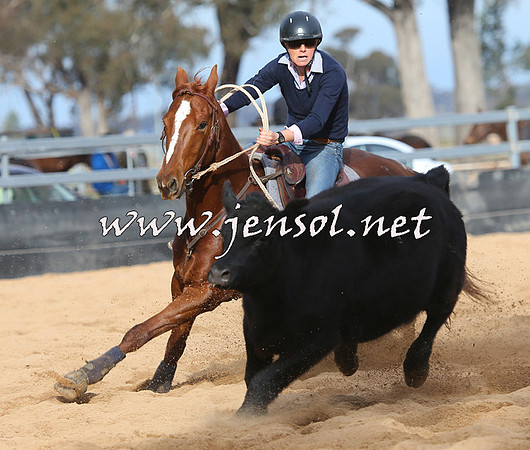STBHTubbulCampdraft2015_0805