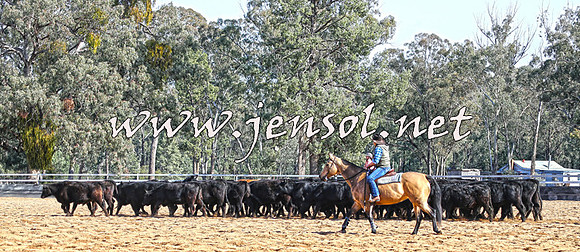 STBHTubbulCampdraft2015_0566