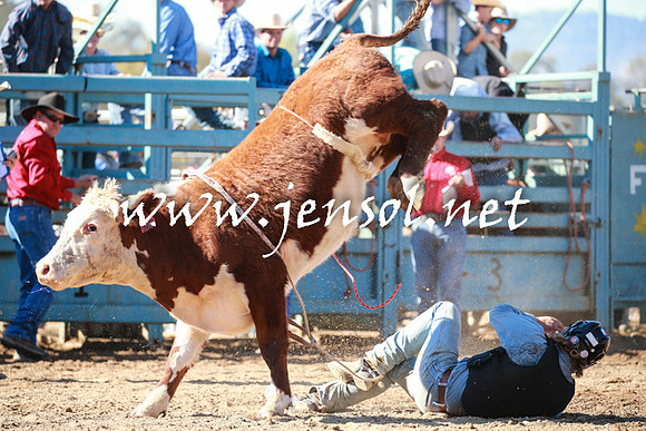 TumutRodeo2016Two_3251