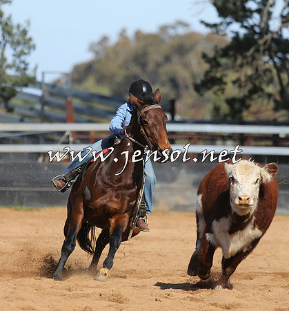 STBHTubbulCampdraft2015_0659